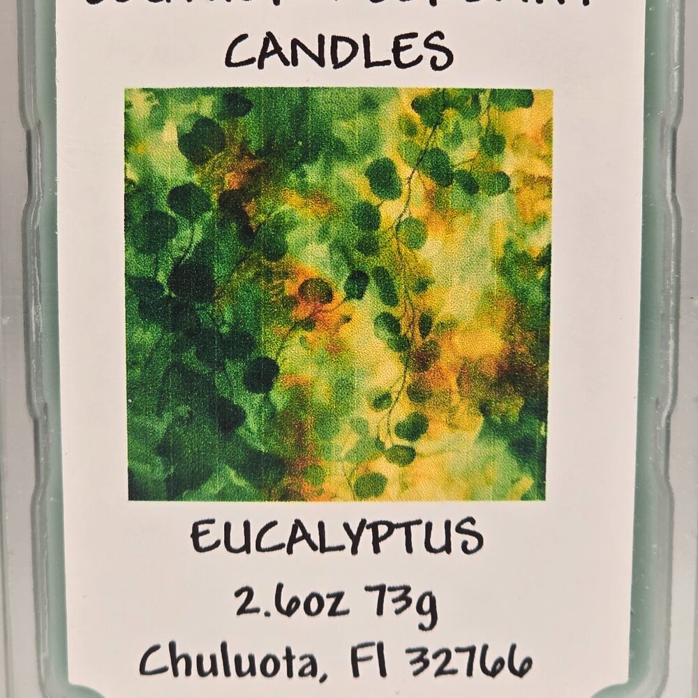 Eucalyptus Wax Melt Wax Tart FREE SHIPPING